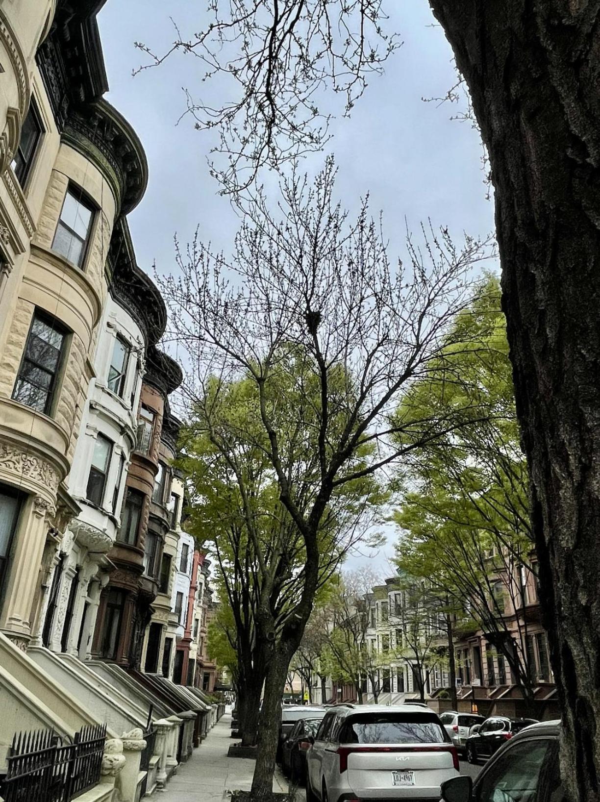 Nyc Townhouse Apartment New York Exteriér fotografie